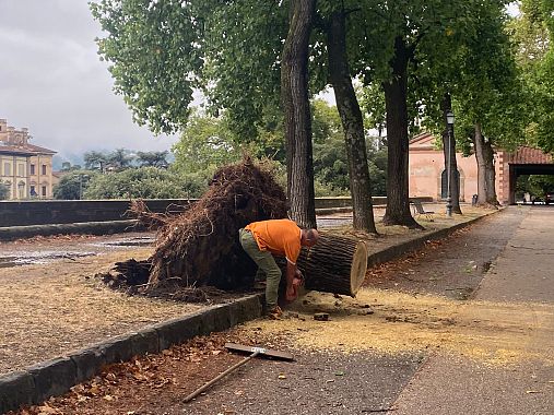 Sulle Mura di Lucca 